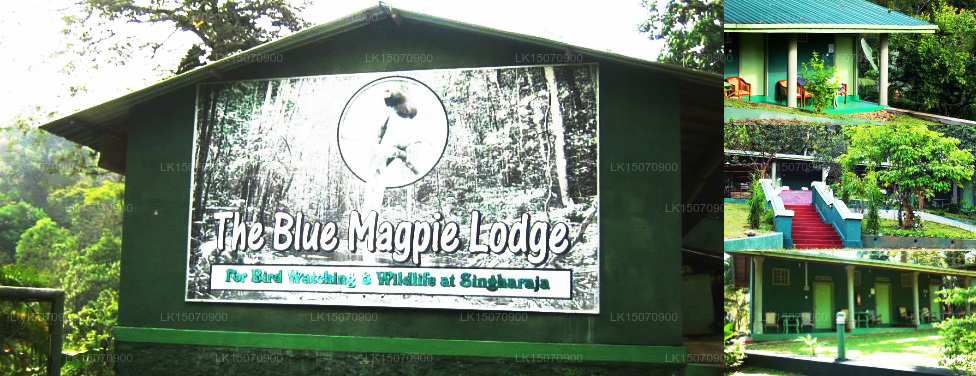 The Blue Magpie Lodge, Ratnapura
