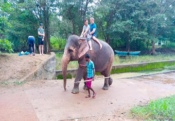 Elephant Back Safari