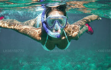 Snorkeling from Unawatuna
