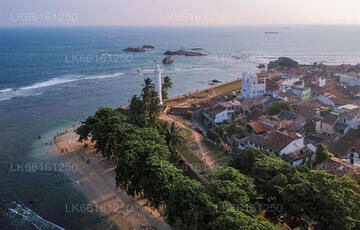 City Tours from Galle