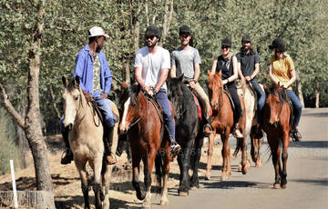 Horse-Riding from Negombo