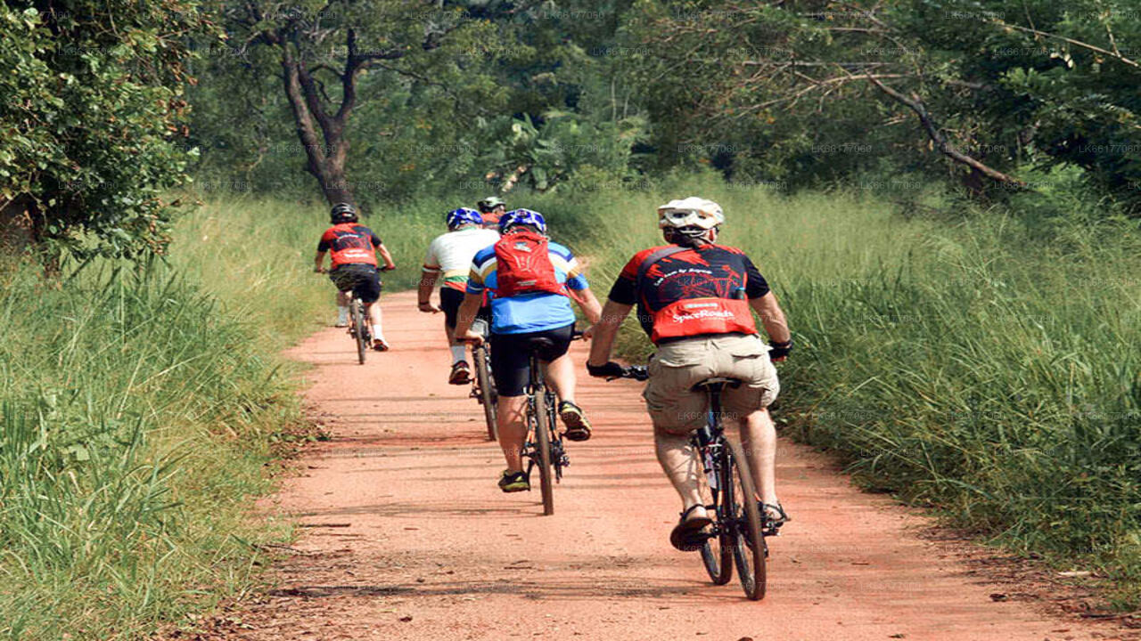 Cycling from Anuradhapura