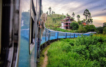 Rail Tours from Kandy