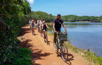 Lagoon Village by Bicycle from Galle
