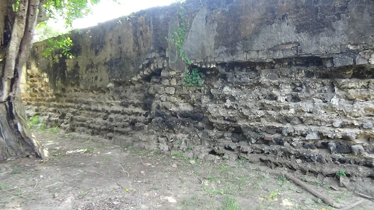 Arippu Fort