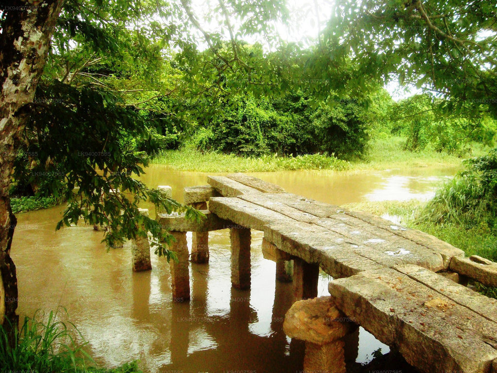 Malwatu Oya Stone Bridge (near Puliyankulama)