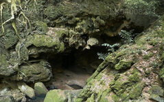 Wavulpone Cave