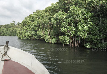 Koggala Lagoon Island
