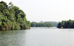 Koggala-Lagune