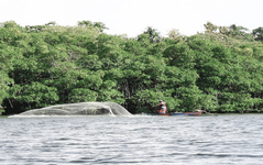 Koggala-Lagune