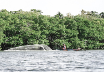 Koggala Lagoon Island
