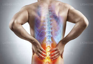 Back Pain, Sciatica