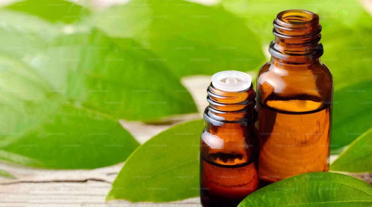 Ceylon Cinnamon Leaf Oil
