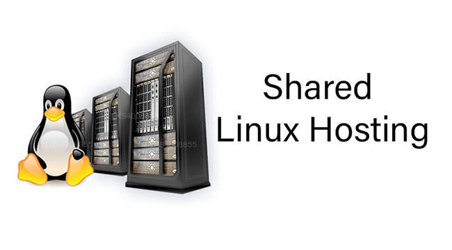 Shared Linux Hosting
