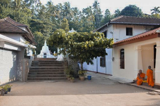 Asgiriya Maha Viharaya