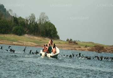 Galoya Boat Safari