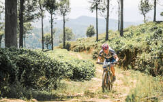 Cycling and Mountain Biking
