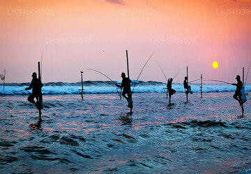 Stilt Fishing
