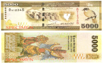 Currency Notes