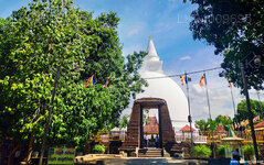 Seruwawila Mangala Raja Maha Vihara