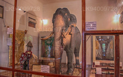 Raja Museum