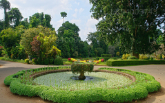 Peradeniya Royal Botanical Garden