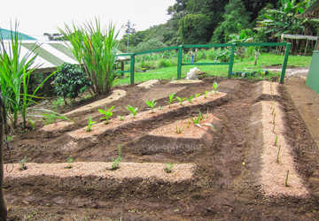 Ganewatta Medicinal Plant Garden