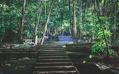 Bodhinagala Forest Hermitage