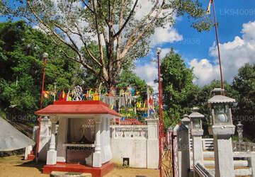 Bodhinagala Forest Hermitage