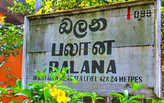 Bahnhof Balana