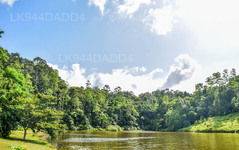 ヒヤレ熱帯雨林と貯水池
