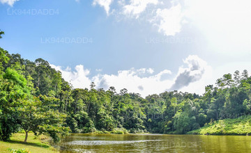 Hiyare Rainforest and Reservoir