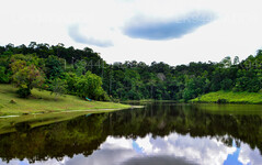 ヒヤレ熱帯雨林と貯水池