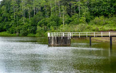 Hiyare Rainforest and Reservoir
