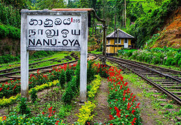 Nanu Oya Railway Station