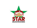 Star Mushrooms
